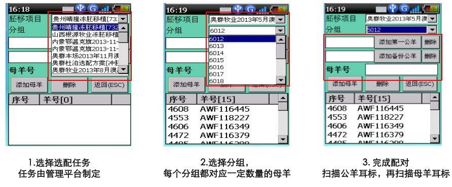牛羊繁育養殖管理系統