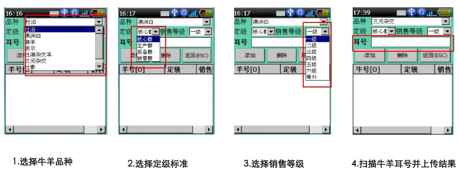 牛羊繁育養殖管理系統