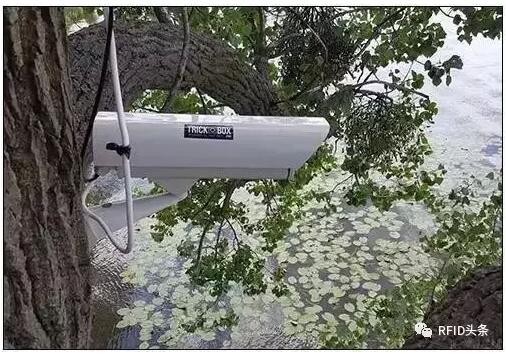 體育技術公司用RFID+視頻攝像機：捕捉你的完美身影 