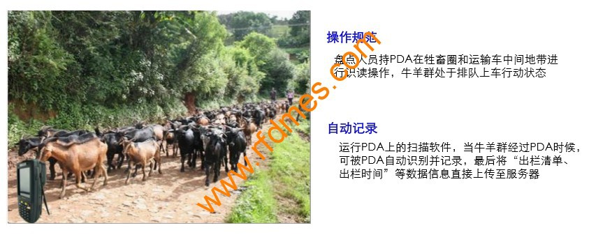 圖片10.png