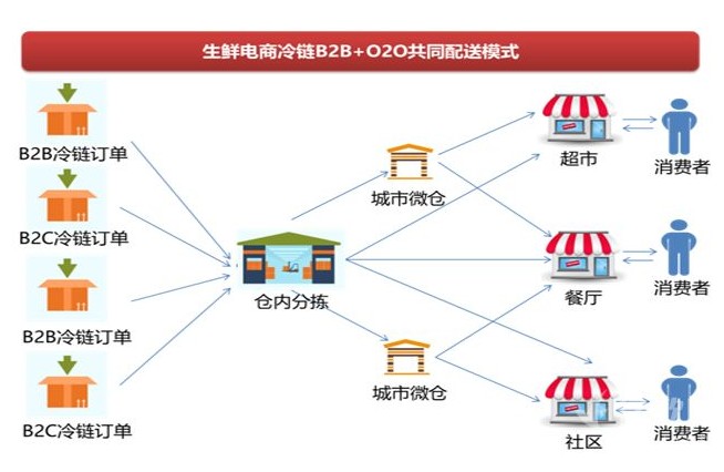 睿豐德冷鏈物流解決方案