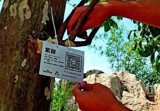 移動手持終端助力園林條碼管理